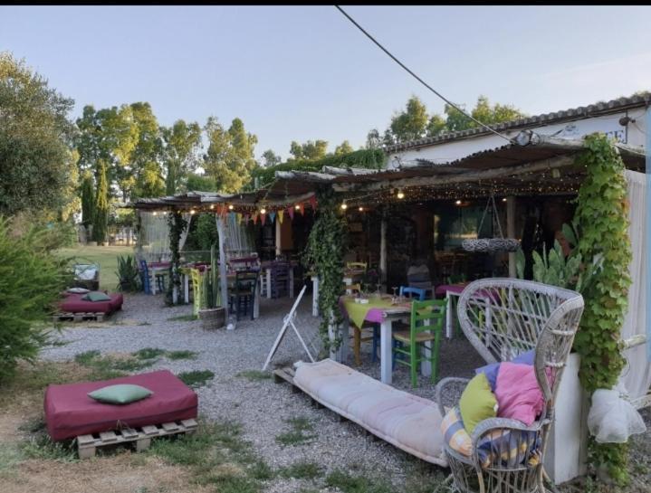 Il Piccolo Borgo Lejlighed Montalto di Castro Eksteriør billede