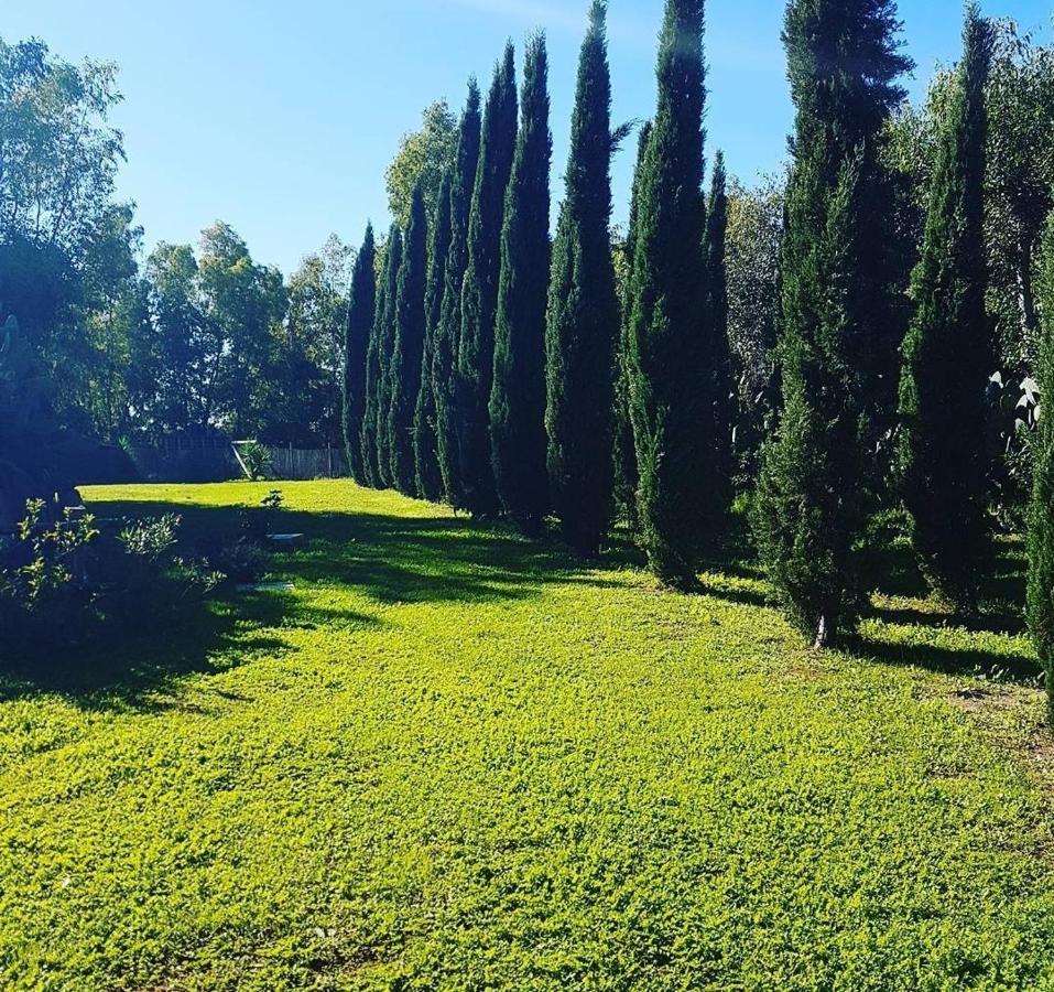 Il Piccolo Borgo Lejlighed Montalto di Castro Eksteriør billede