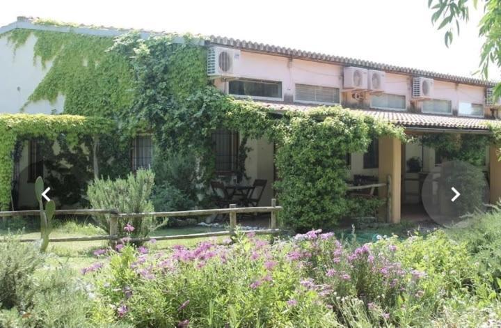 Il Piccolo Borgo Lejlighed Montalto di Castro Eksteriør billede
