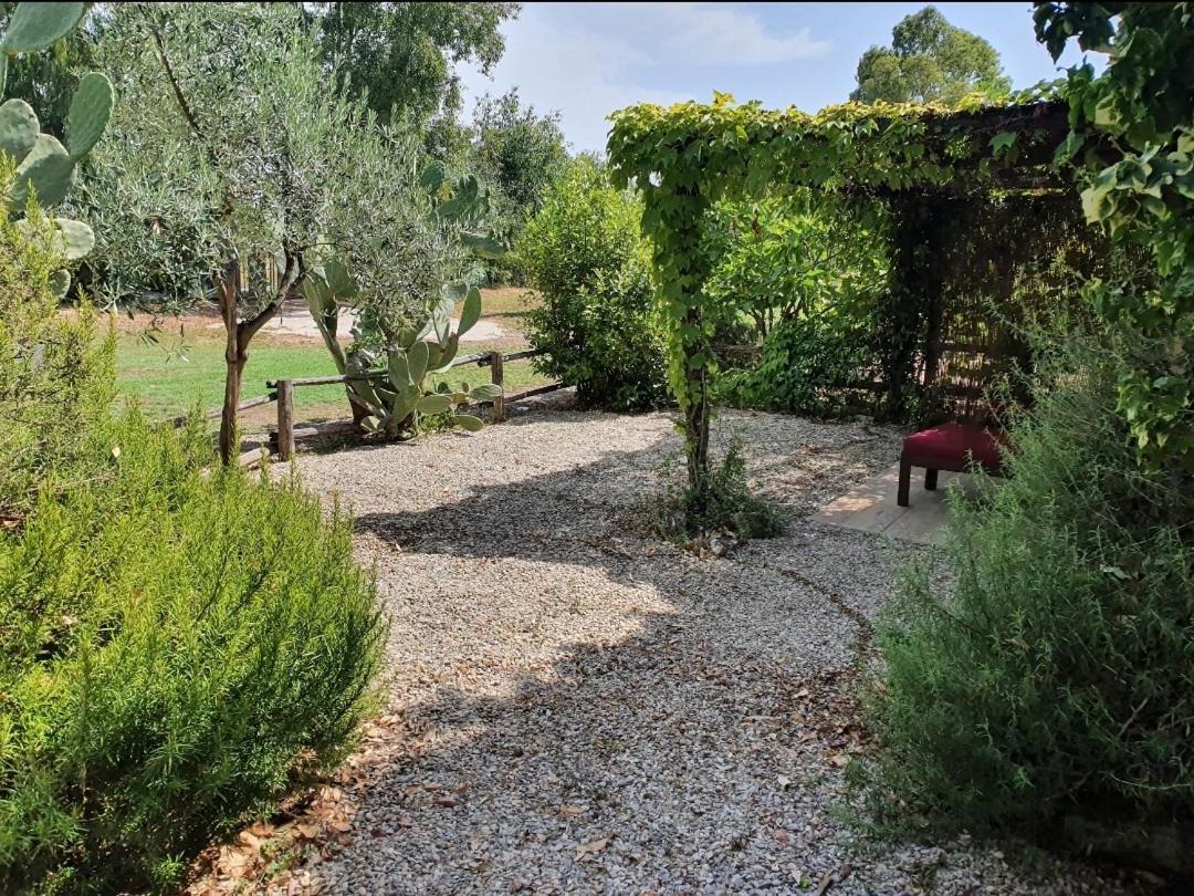 Il Piccolo Borgo Lejlighed Montalto di Castro Eksteriør billede